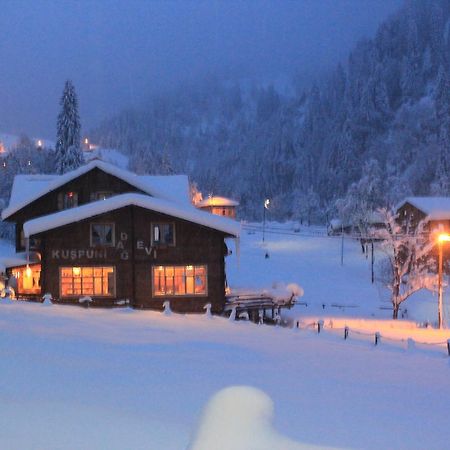 Kuspuni Dag Evi Villa Çamlıhemşin Esterno foto